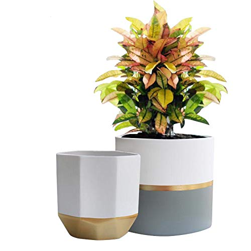 house plant pot set