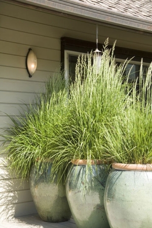 Grass Outdoor Decor Idea