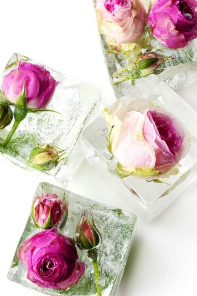 entertaining ideas for a party rose ice cubes