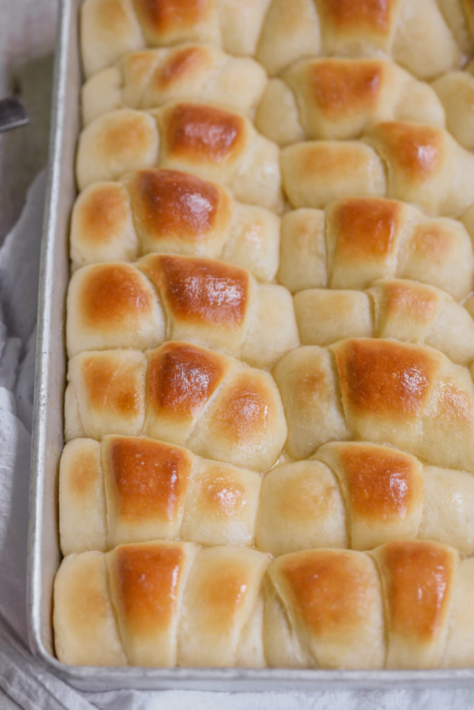 Thanksgiving Recipe For Rolls
