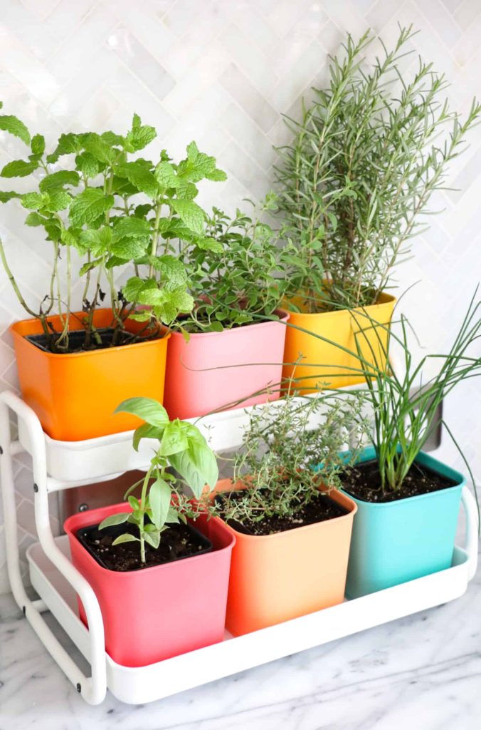 indoor herb garden tiered tray