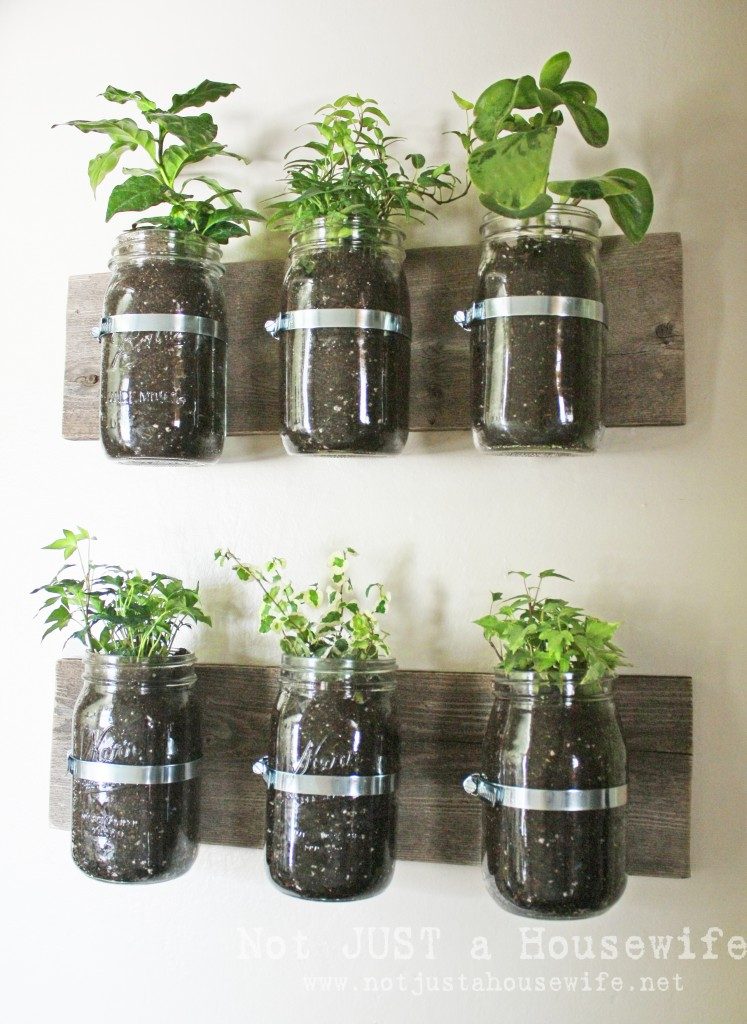 wall indoor herb garden