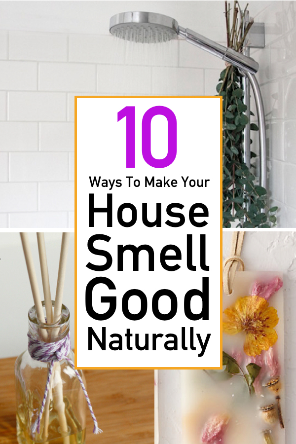 how-to-make-your-house-smell-good-naturally-the-unlikely-hostess