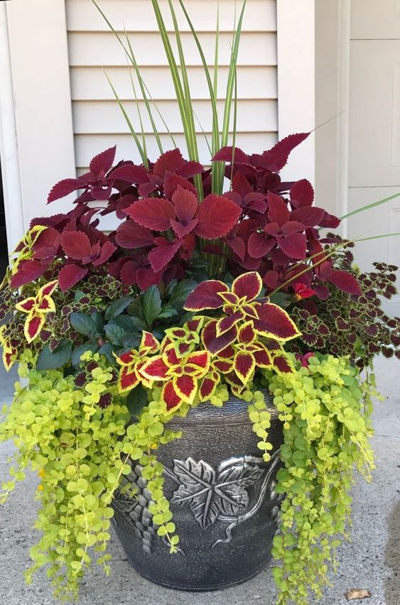 Gorgeous Flower Pot Ideas For Your Front Porch The Unlikely Hostess - Porch Potted Plant Ideas