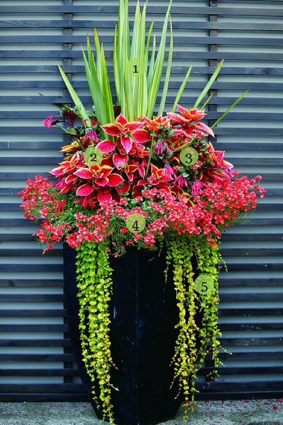 outdoor flower arrangements in pots