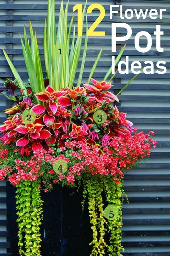 Flower Pot Ideas For Your Front Porch