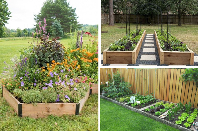 vegetable garden layout