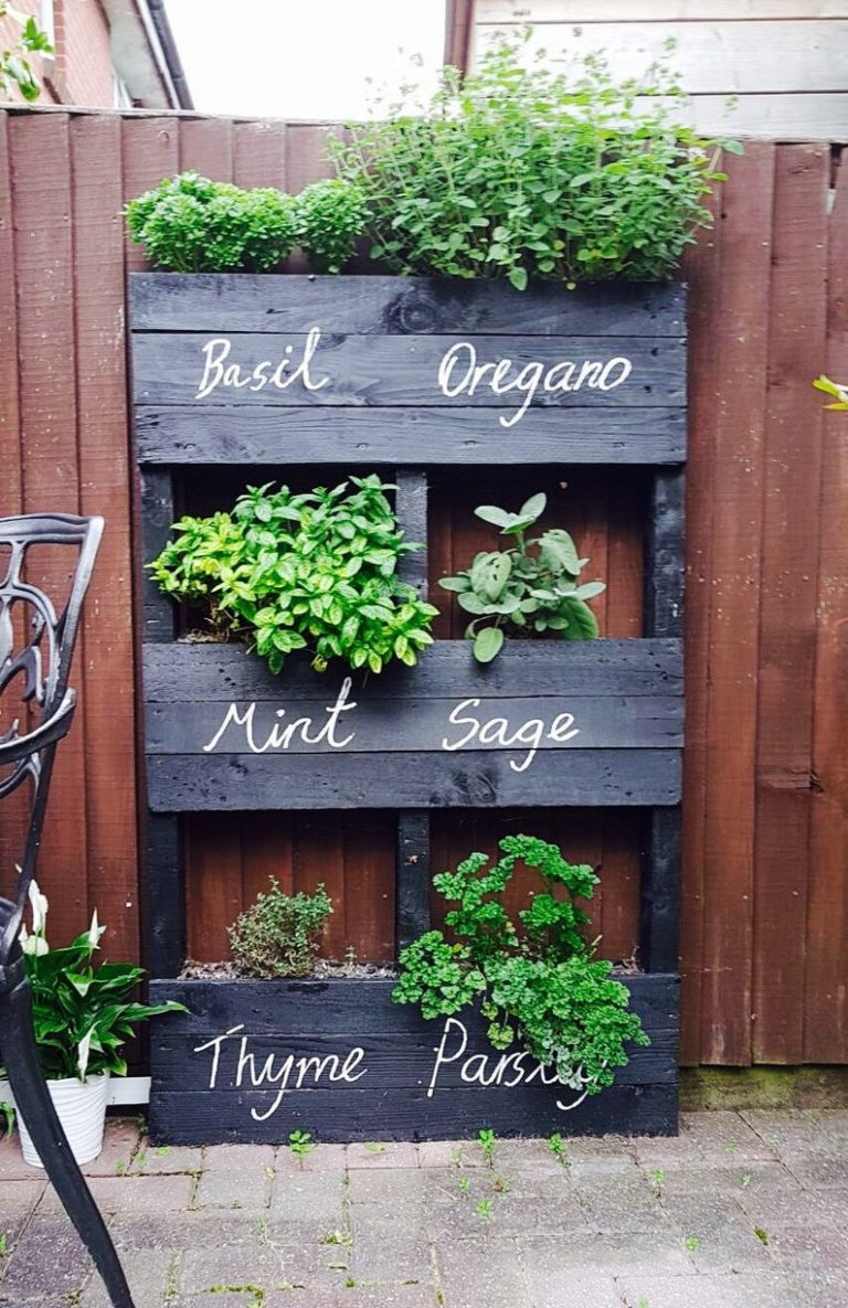 20 Inspiring Vegetable Garden Design Ideas & Layouts - The Unlikely Hostess