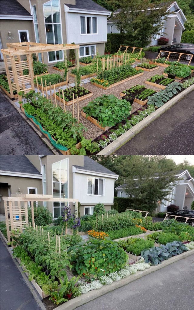20 Inspiring Vegetable Garden Design Ideas & Layouts - The Unlikely Hostess