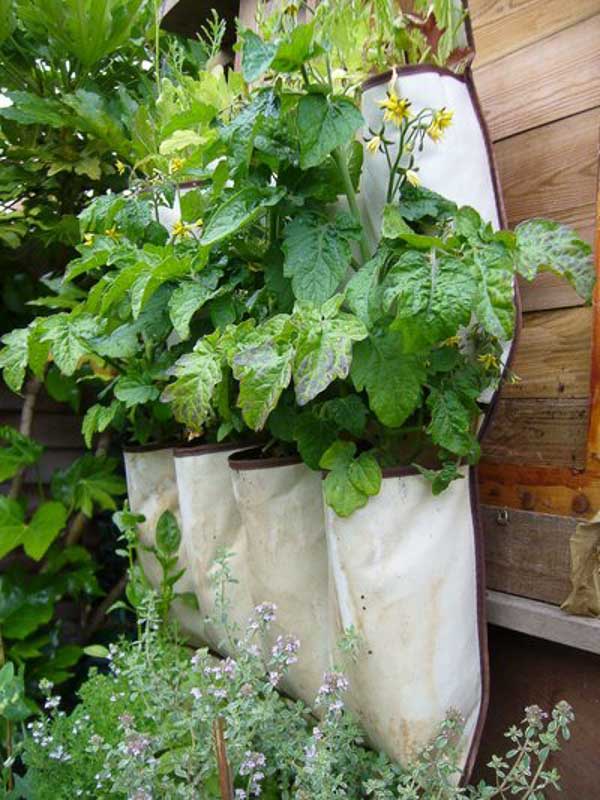 container gardening ideas