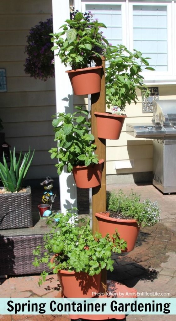 container gardening ideas
