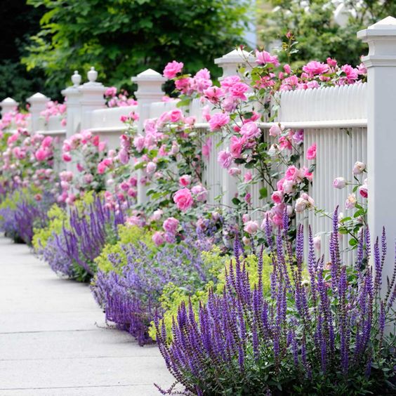 flower garden ideas
