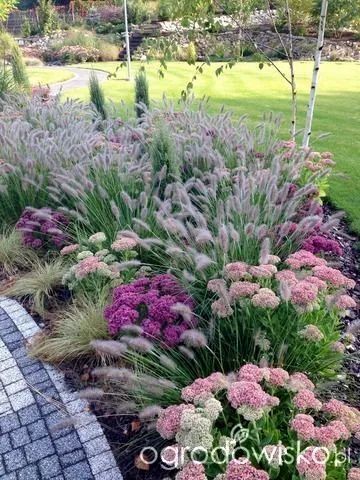 flower bed idea