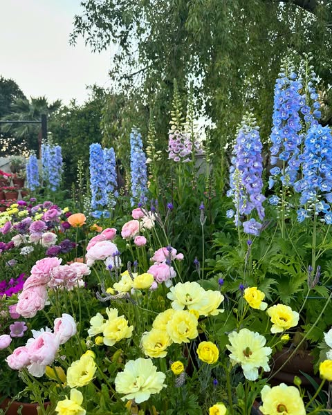 flower garden design idea