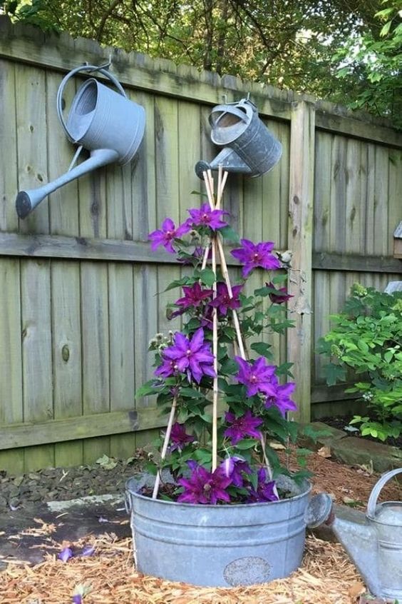 Garden Decor Ideas