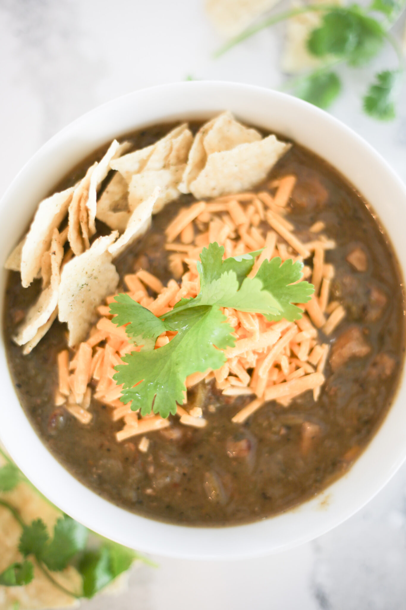 Out Of This World Pork Green Chili Recipe - The Unlikely Hostess