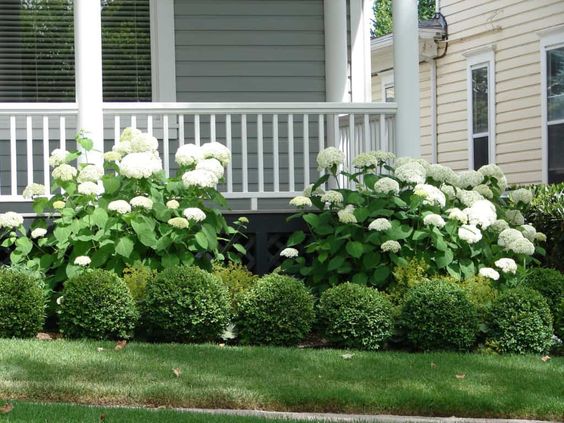 front of the house landscaping ideas