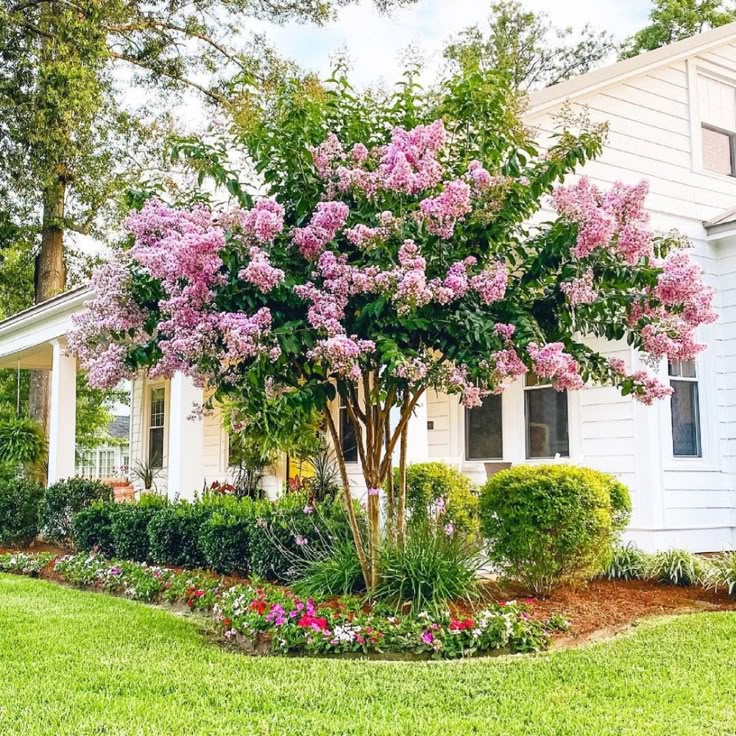 front yard landscaping ideas