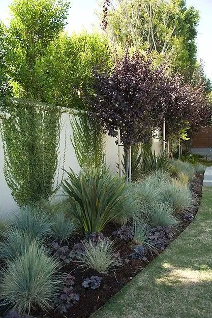 fence landscaping idea