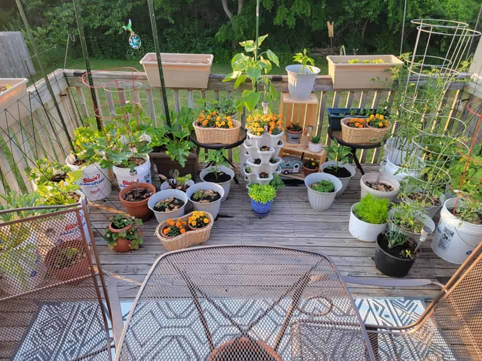 container gardening ideas 