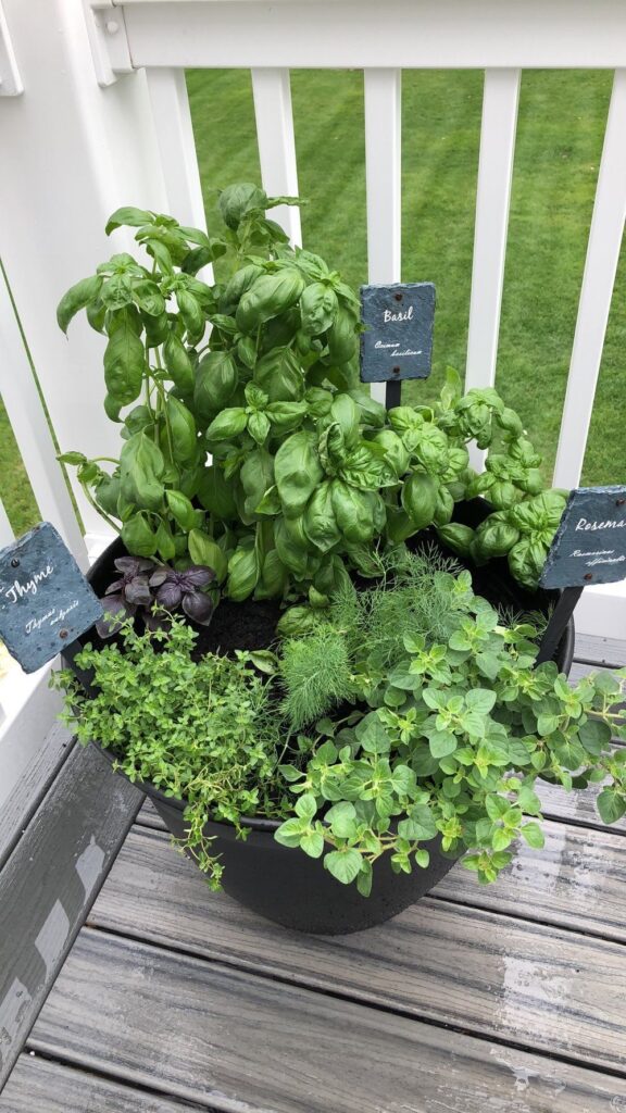 container gardening idea