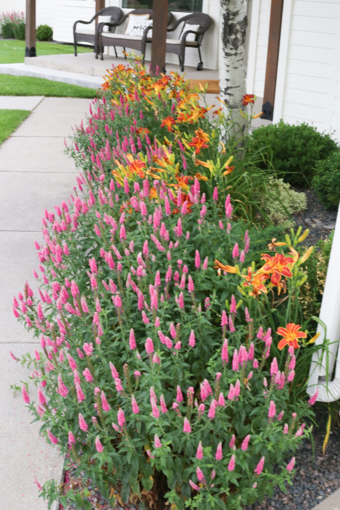 farmhouse flower beds in front of house