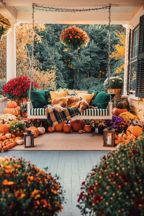 cozy fall aesthetic
