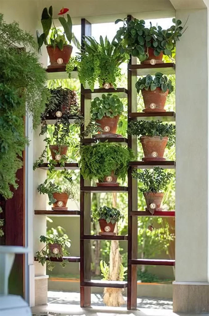 herb garden