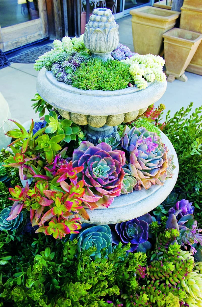landscape design ideas