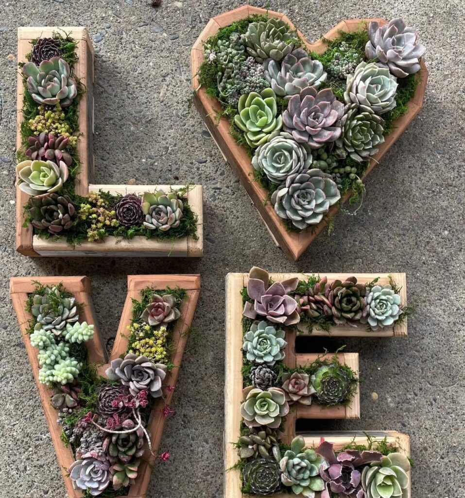 hanging succulent planters 