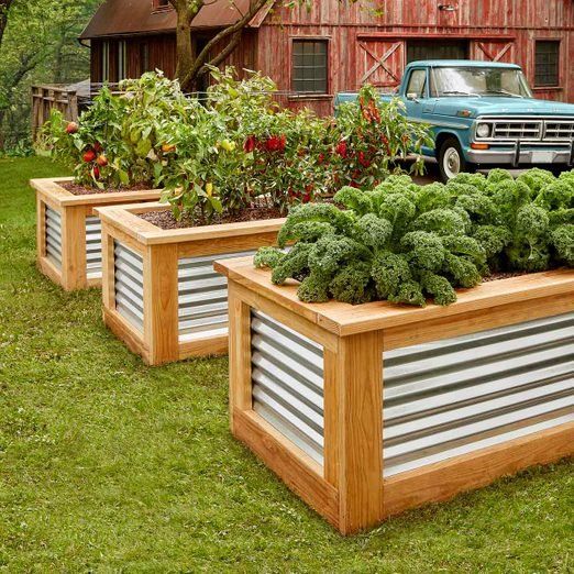 elevated garden bed