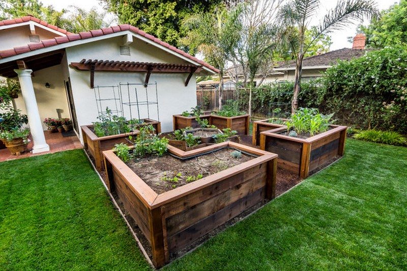 elevated garden bed design 