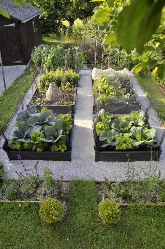 raised garden beds