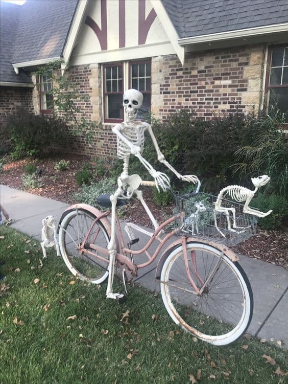 halloween skeleton poses