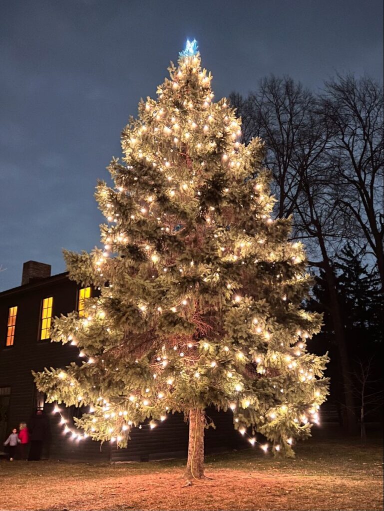 Outdoor Christmas Decorations