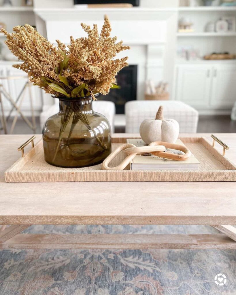 living room tray decorating idea