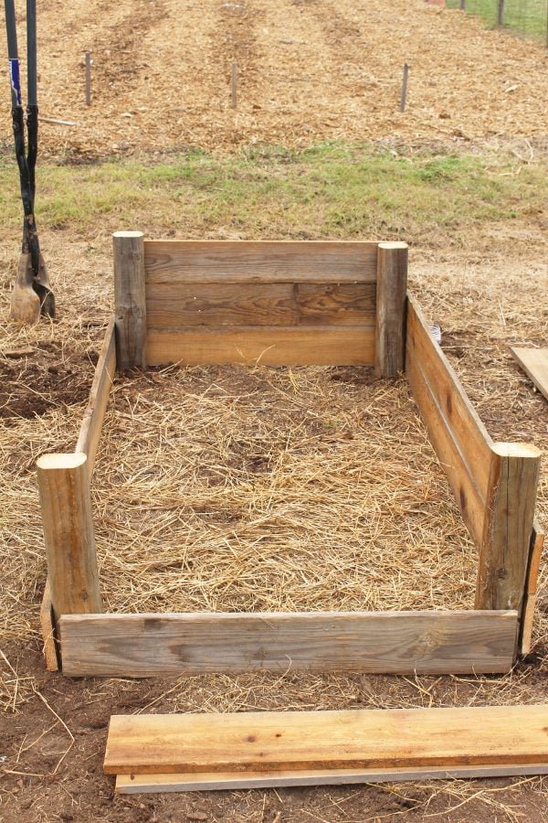 raised garden beds